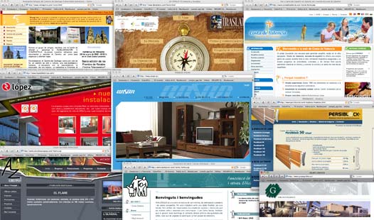 Desarrollo y diseño web profesional